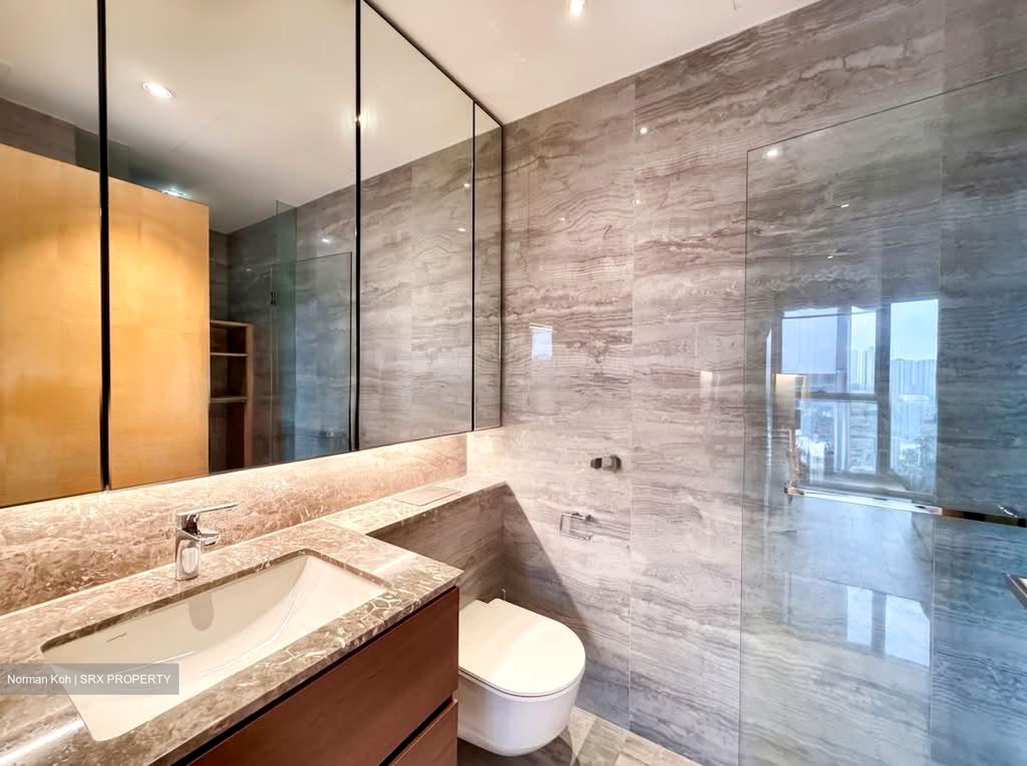 Fourth Avenue Residences (D10), Apartment #584420201